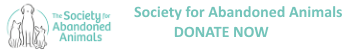 Society for Abandoned Animals